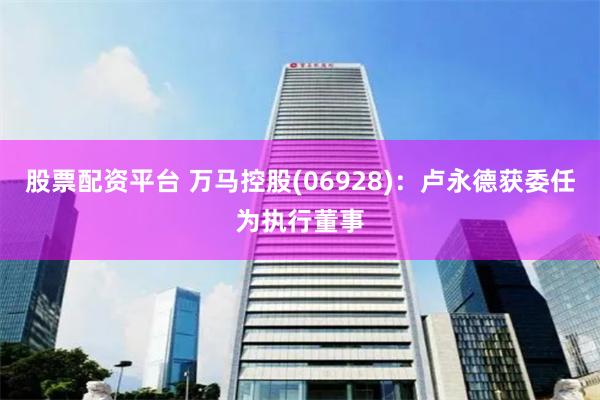 股票配资平台 万马控股(06928)：卢永德获委任为执行董事