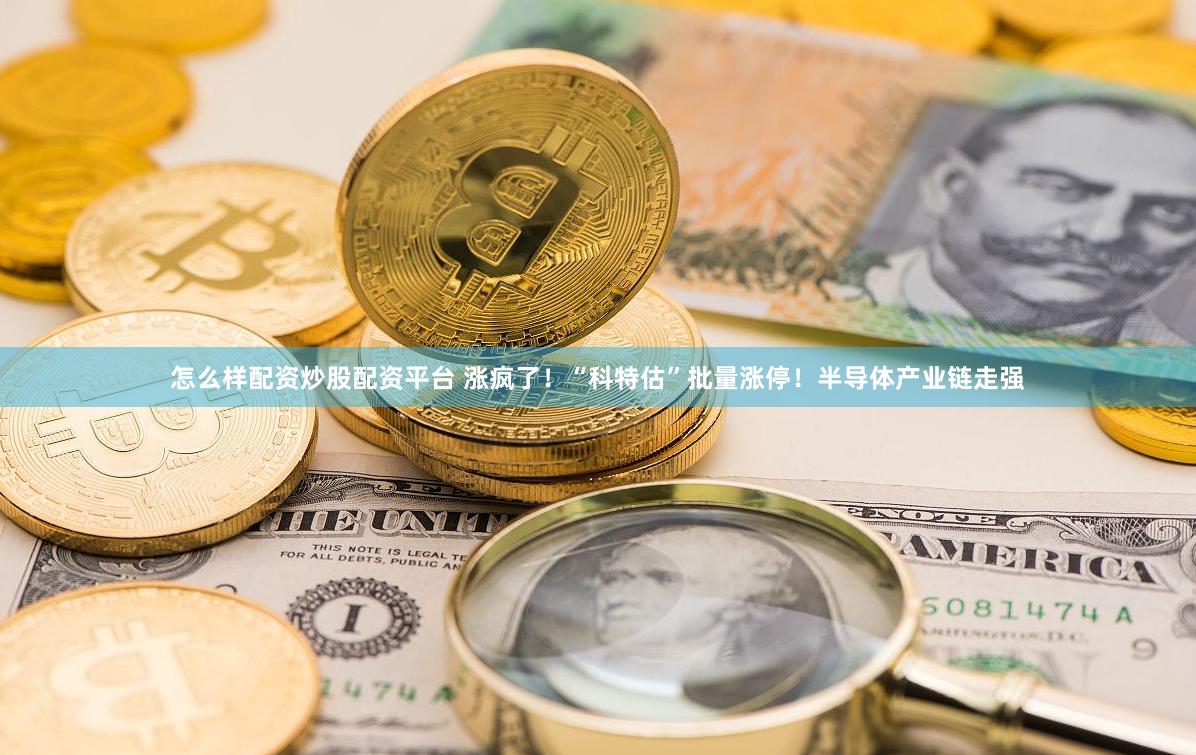 怎么样配资炒股配资平台 涨疯了！“科特估”批量涨停！半导体产业链走强