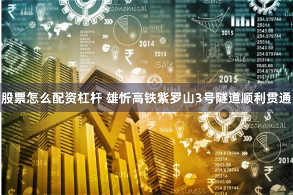 股票怎么配资杠杆 雄忻高铁紫罗山3号隧道顺利贯通
