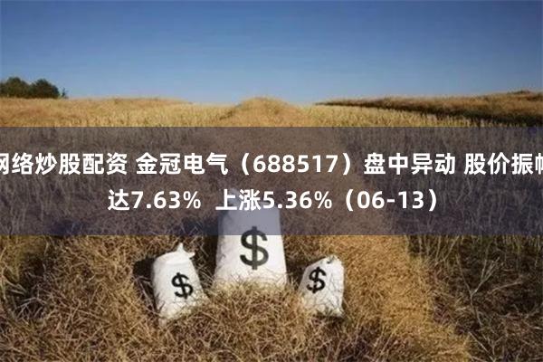 网络炒股配资 金冠电气（688517）盘中异动 股价振幅达7.63%  上涨5.36%（06-13）