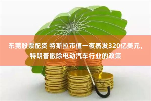 东莞股票配资 特斯拉市值一夜蒸发320亿美元，特朗普撤除电动汽车行业的政策